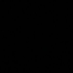 Meet your Posher, Stanley